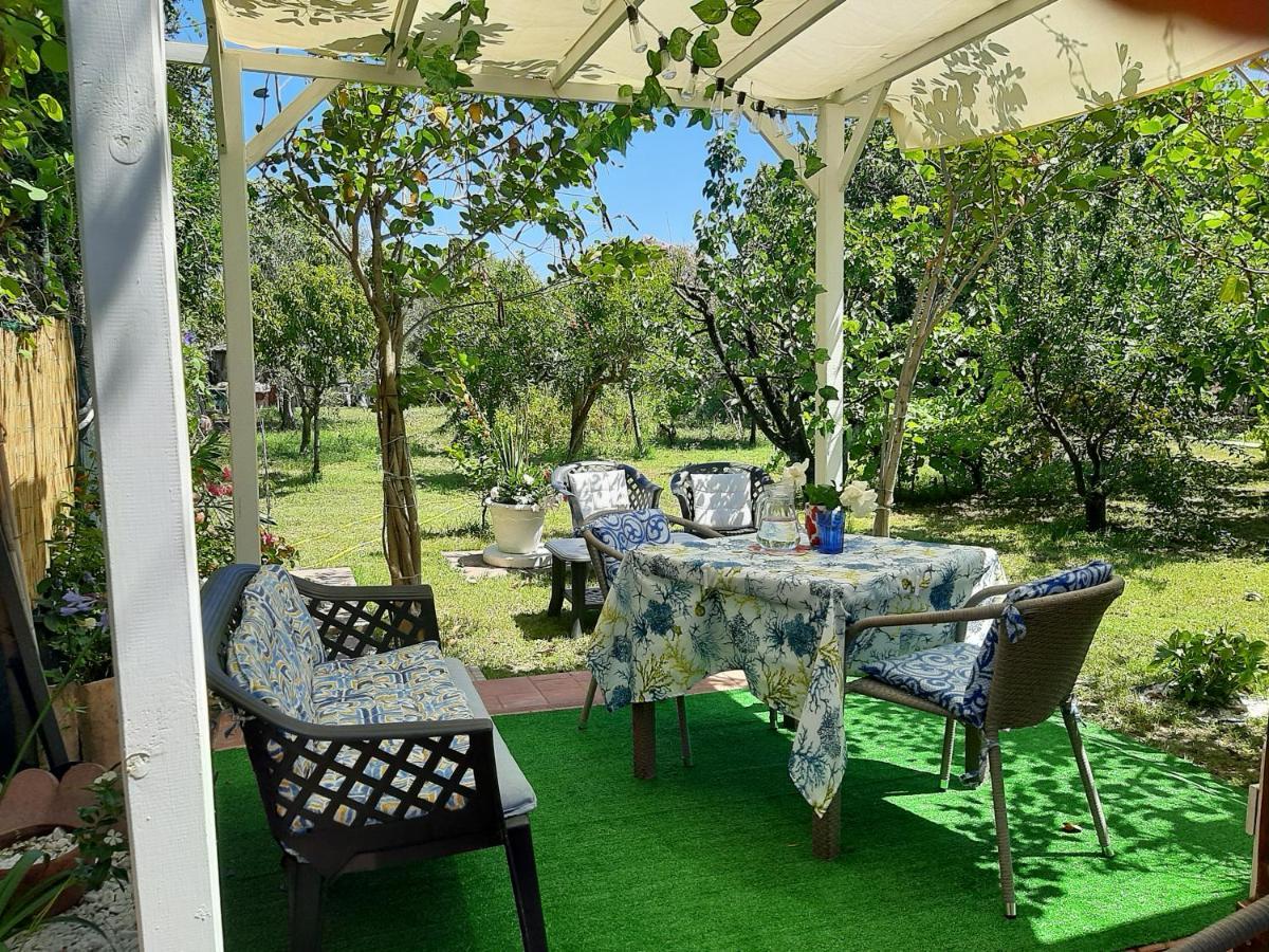 Tom E Jerry Bed & Breakfast Domus De Maria Exterior photo