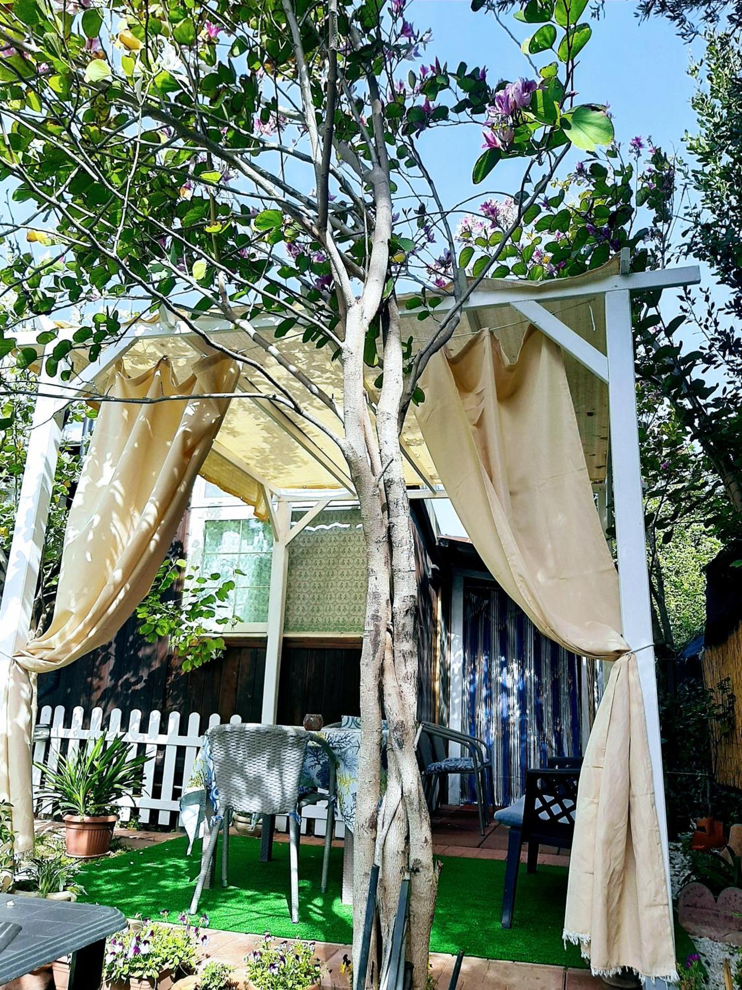 Tom E Jerry Bed & Breakfast Domus De Maria Exterior photo